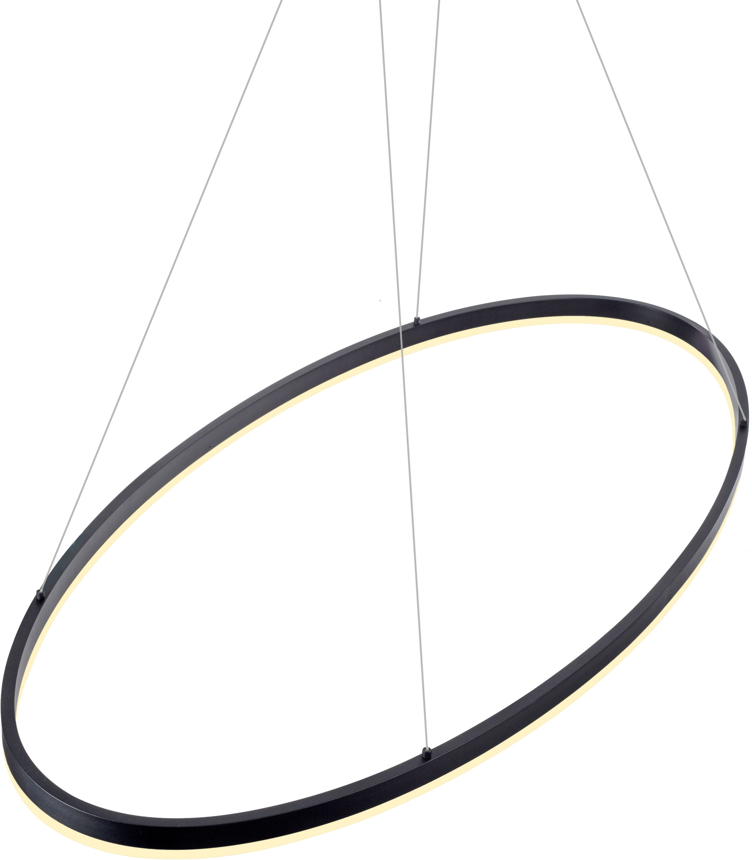 Paul Neuhaus Pendelleuchte »TITUS«, 1 flammig, Leuchtmittel LED-Board | LED fest integriert, LED, Simply Dim