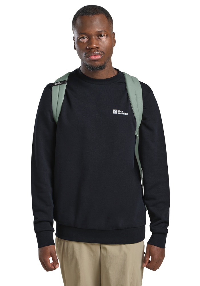 Jack Wolfskin Daypack »TERRAVIEW« 20 L Tagesrucksack (43x29x23cm), Laptopfach, vielseitig