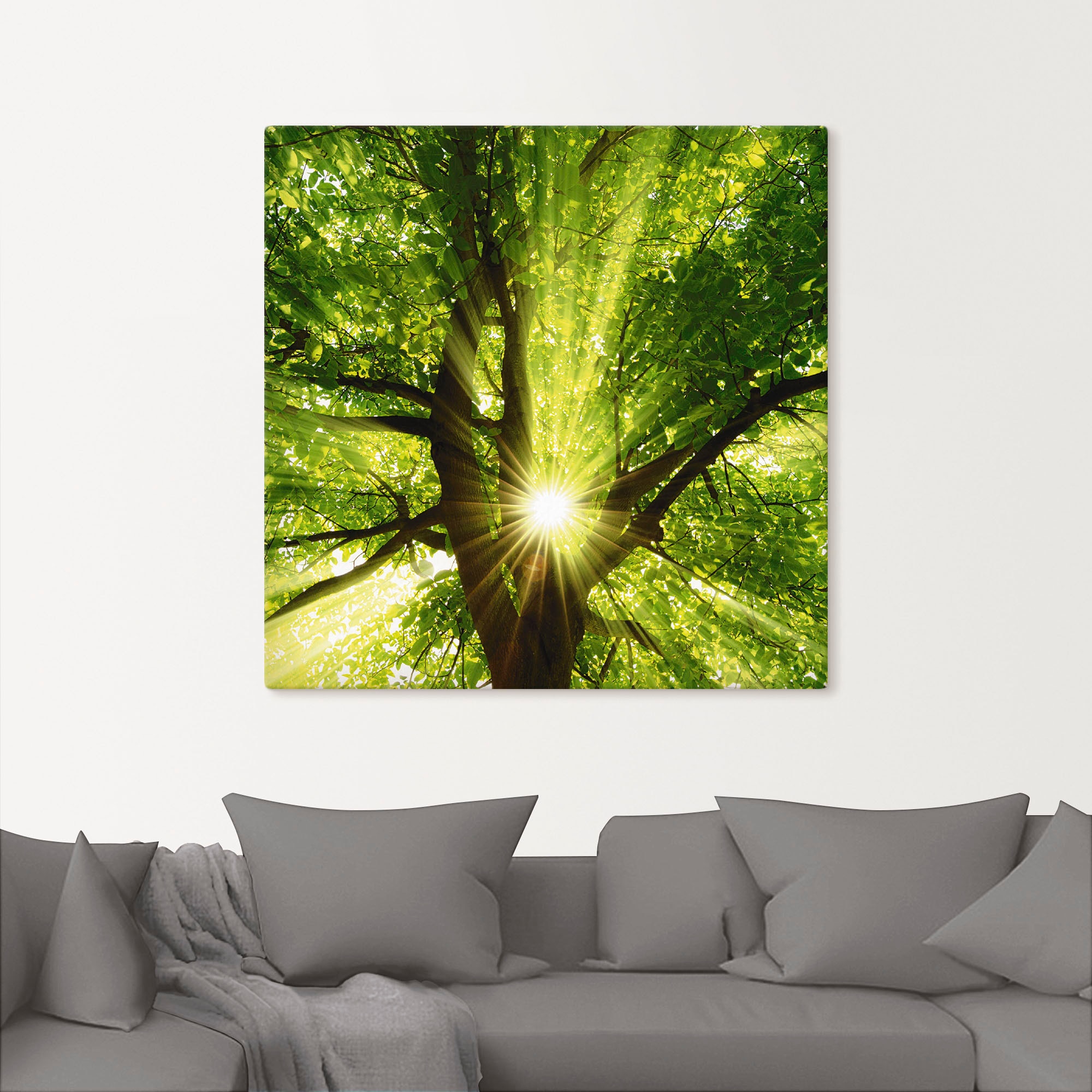 Artland Wandbild »Sonne strahlt explosiv durch den Baum« Bäume 1 Stk. tlg. als Leinwandbild, Poster in verschied. Größen