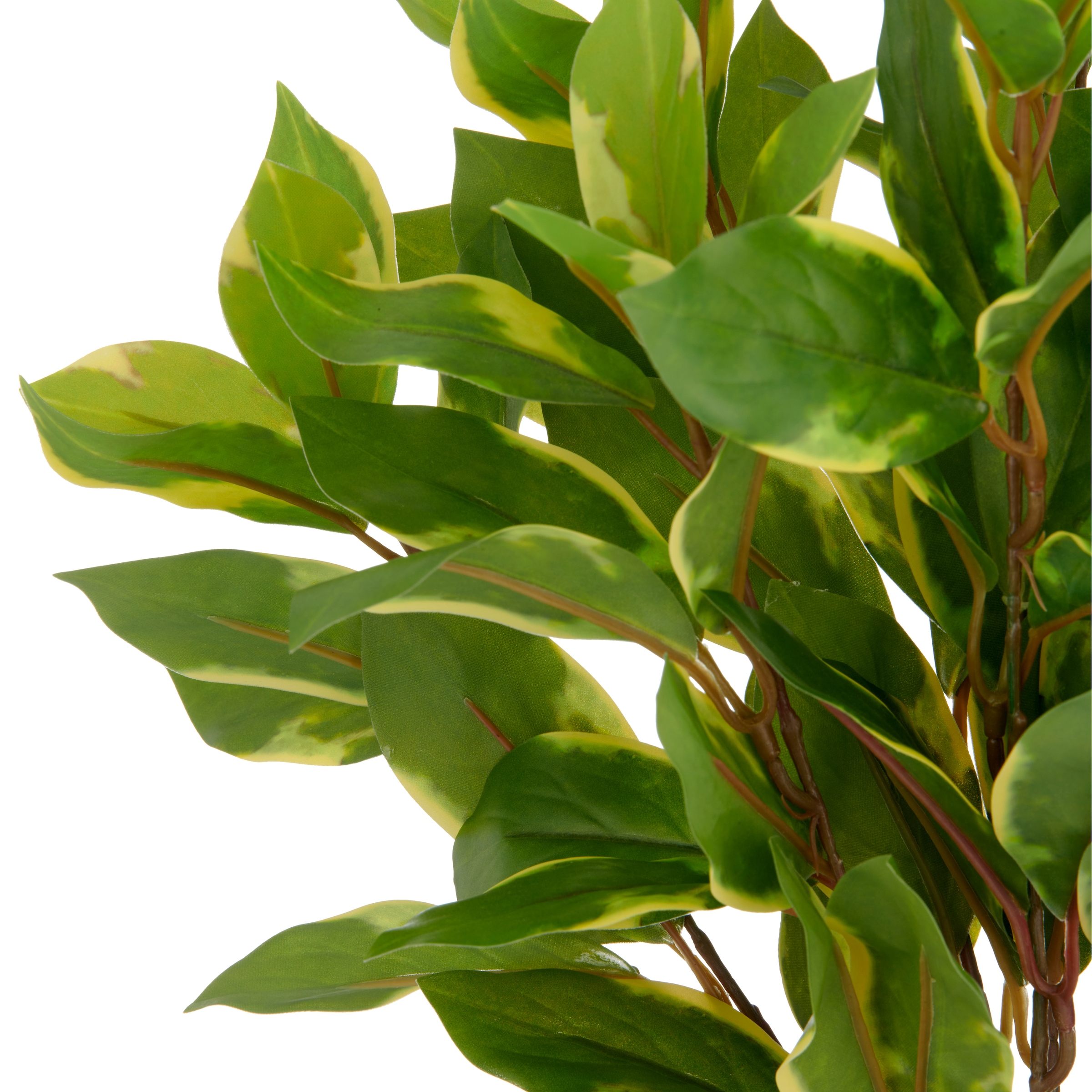 Creativ green Kunstpflanze »Epipremnum aureum« mit schönem Blattwerk