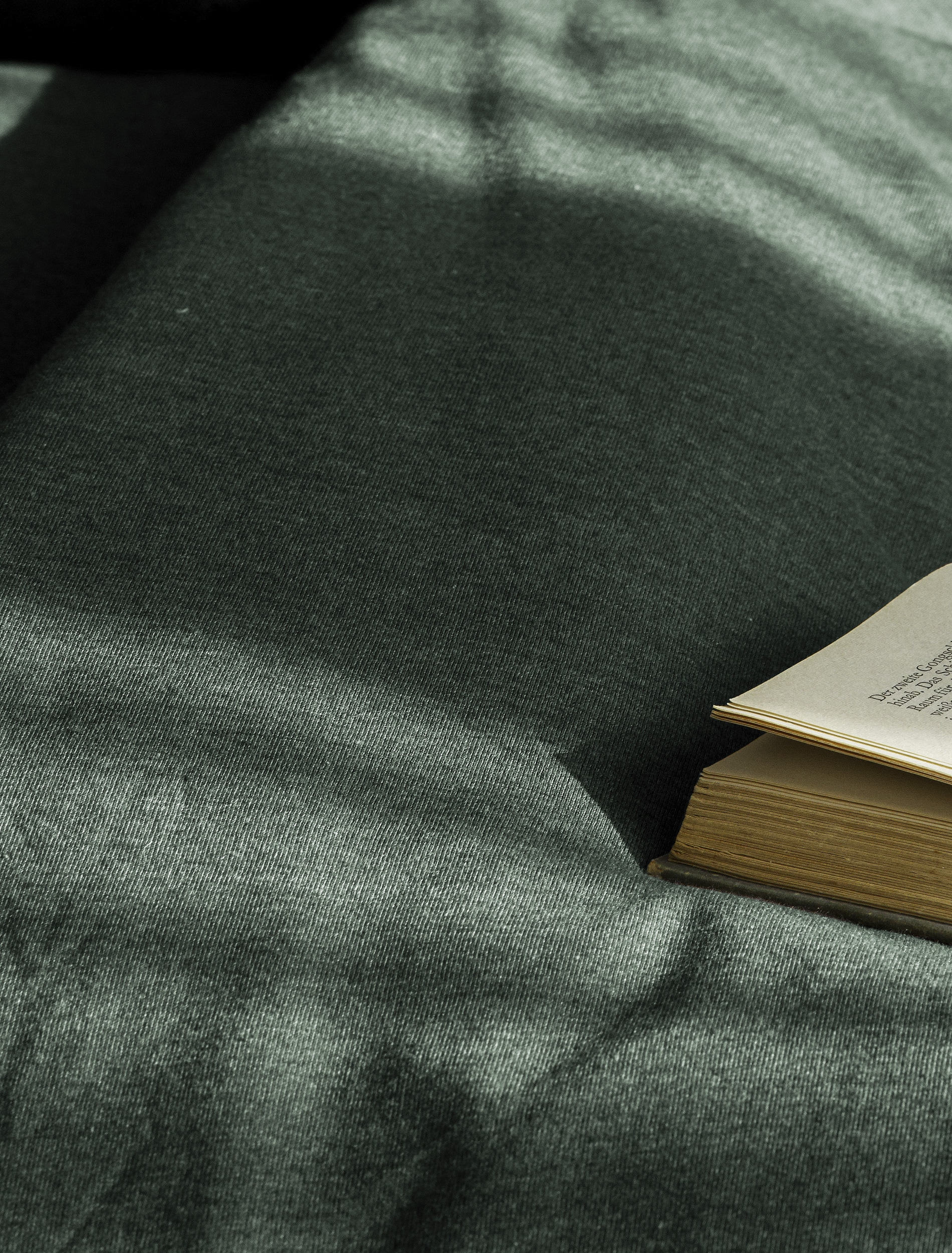 BIERBAUM Bettwäsche »4135« 2 Stk. tlg. Jersey-Melange, 100 % Baumwolle, bügelfrei