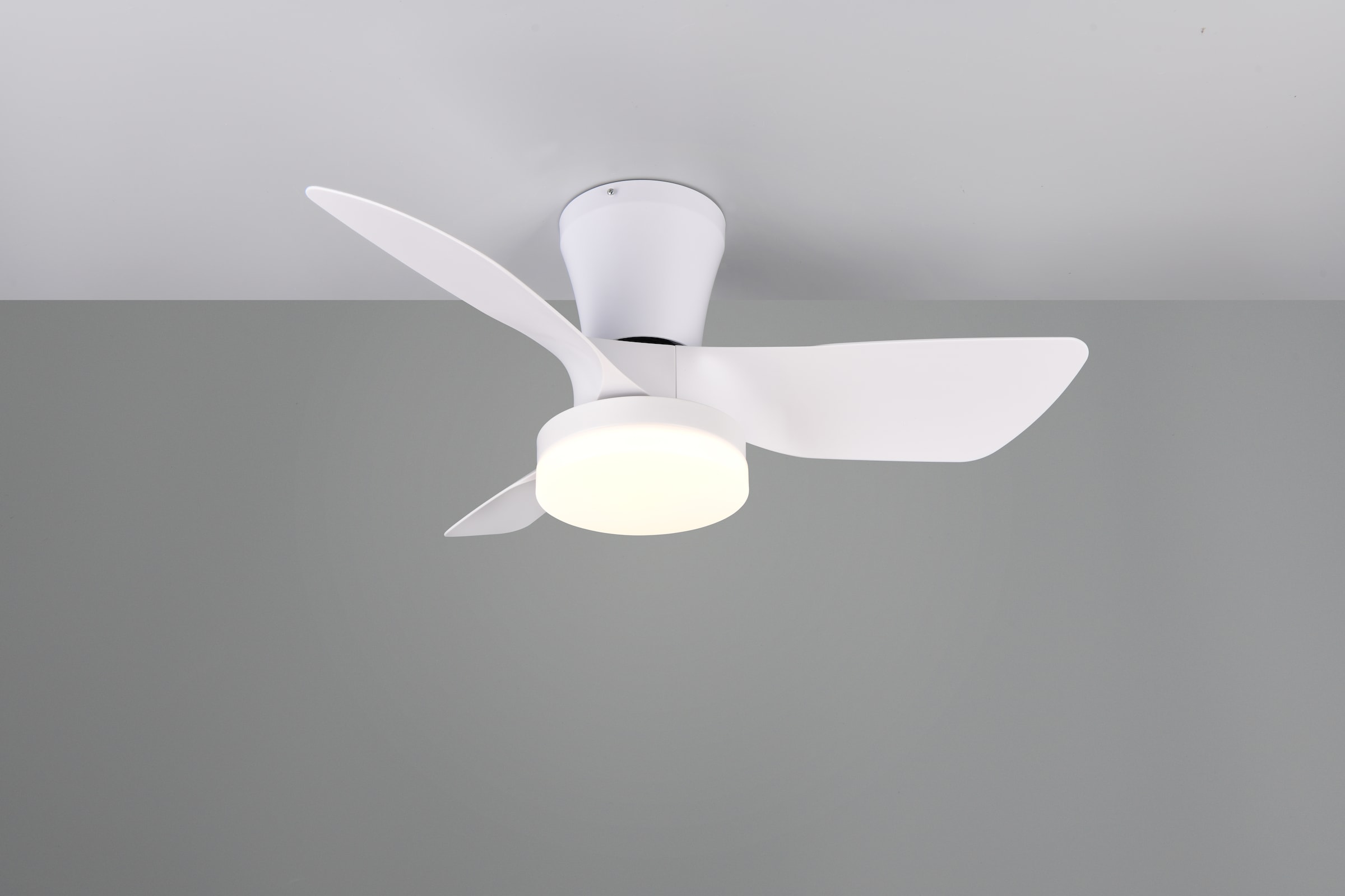 REALITY Leuchten LED Deckenleuchte »RANDERS mit Ventilator, Deckenventilator mit Licht inkl Fernbedienung« LED-Board 1 Stk. warmweiß - kaltweiß 6 Geschwindigkeiten Timer Vor- & Rücklauf LED dimmbar CCT Nachtlicht