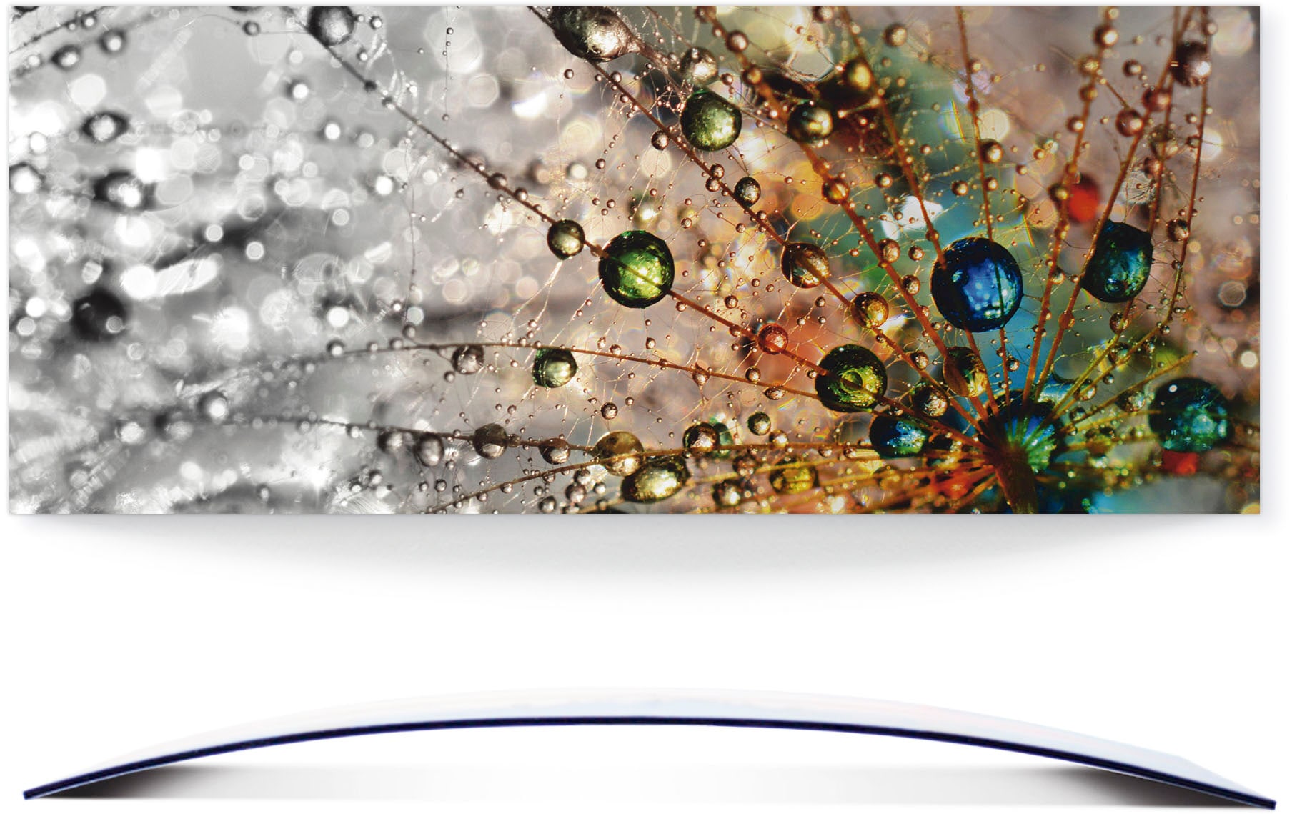 Artland Wandbild »Farbenfrohe Natur«, Blumen, (1 St.), in vielen Größen & Produktarten - Alubild / Outdoorbild für den Außenbereich, Leinwandbild, Poster, Wandaufkleber / Wandtattoo auch für Badezimmer geeignet