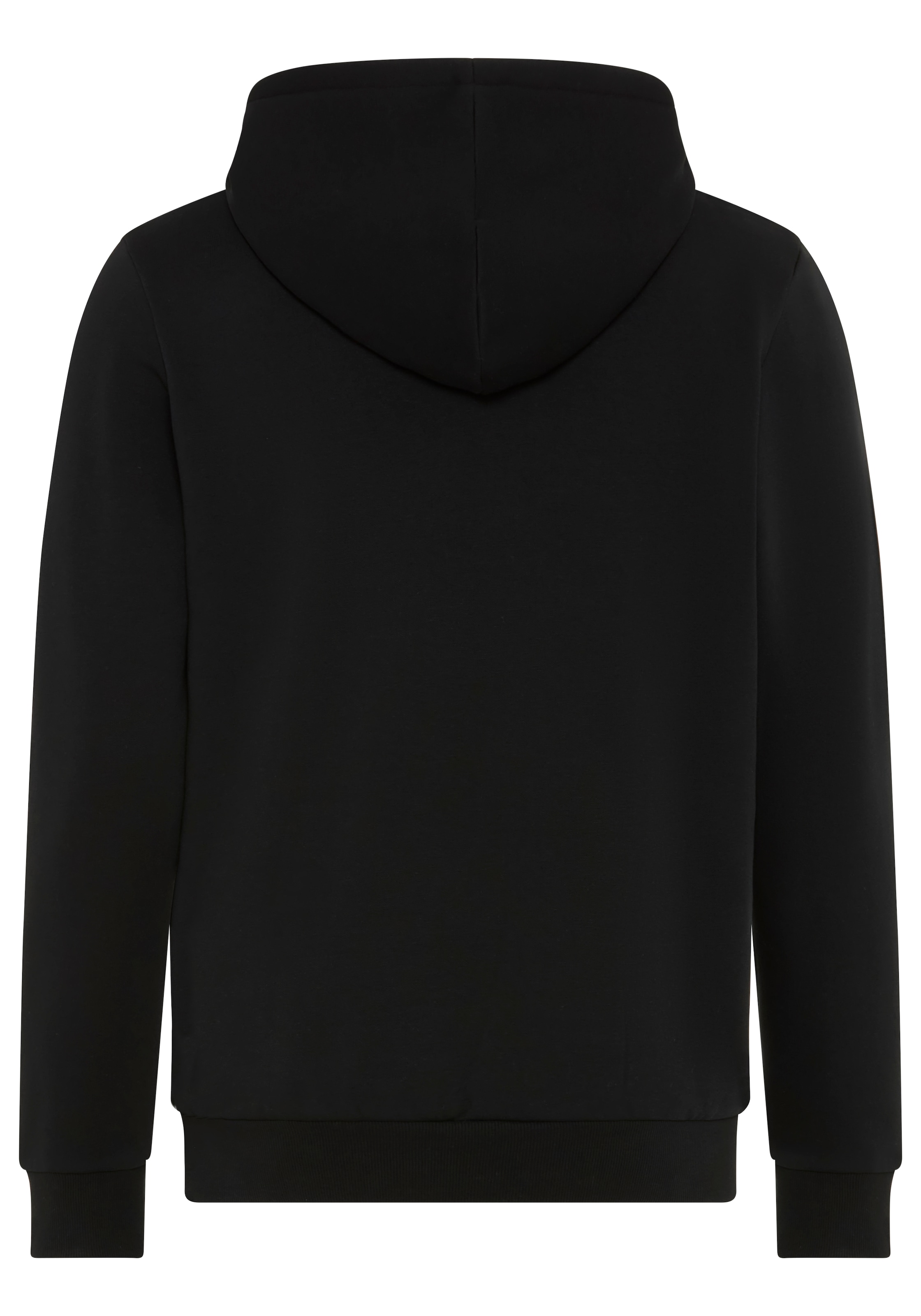 KangaROOS Kapuzensweatshirt , mit regulierbarem Elastikband an der Kapuze, schmale Passform
