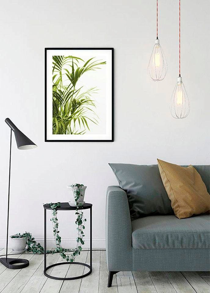 Komar Bild »Reed Leaves«, Pflanzen-Blätter, (1 St.), Wandbild zur Dekoration - ohne Rahmen
