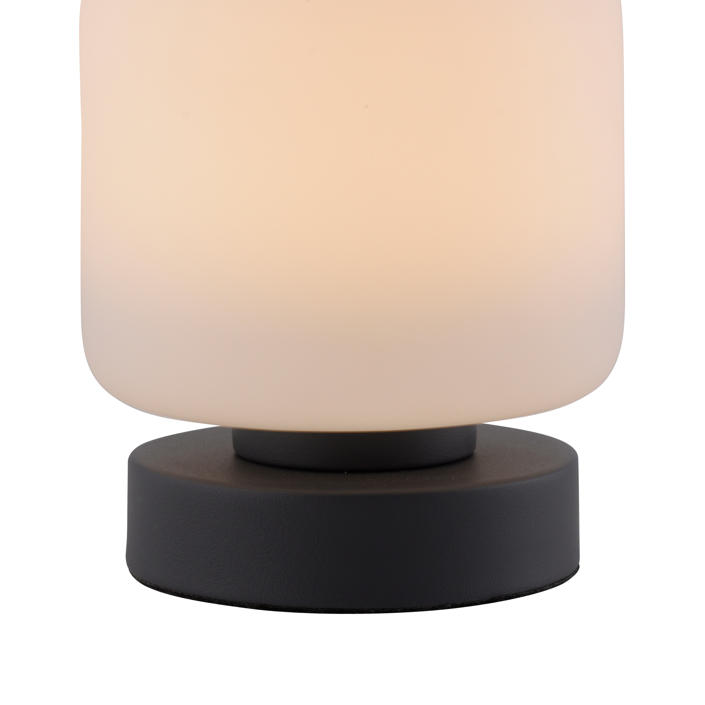 Paul Neuhaus Tischleuchte »BOTA«, 1 flammig, Leuchtmittel LED-Board | LED fest integriert, LED, dimmbar über Touchdimmer