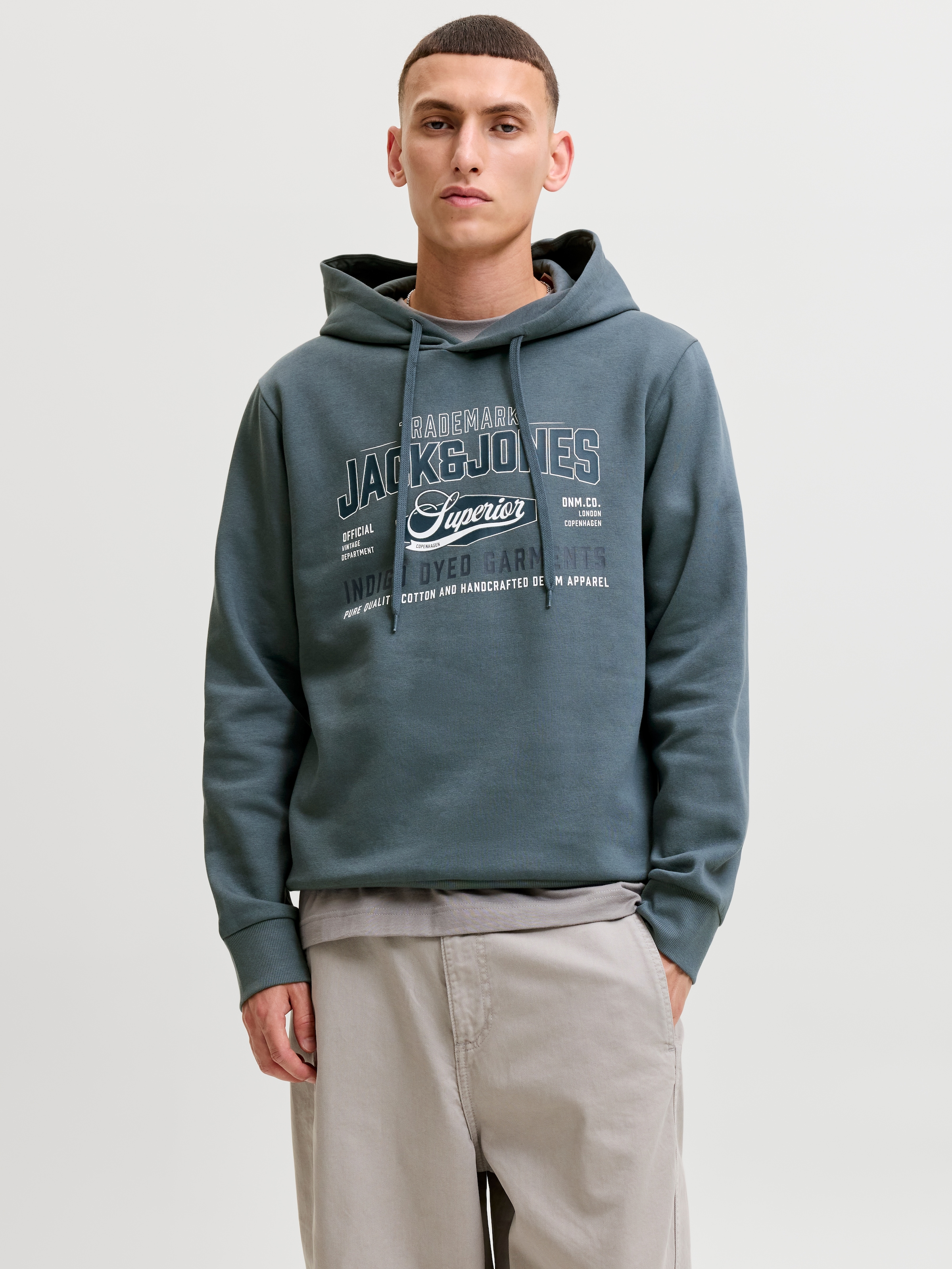 Jack & Jones Kapuzensweatshirt »JJELOGO SWEAT HOOD 2 COL AW26 SN«, Baumwollmischung, regular fit
