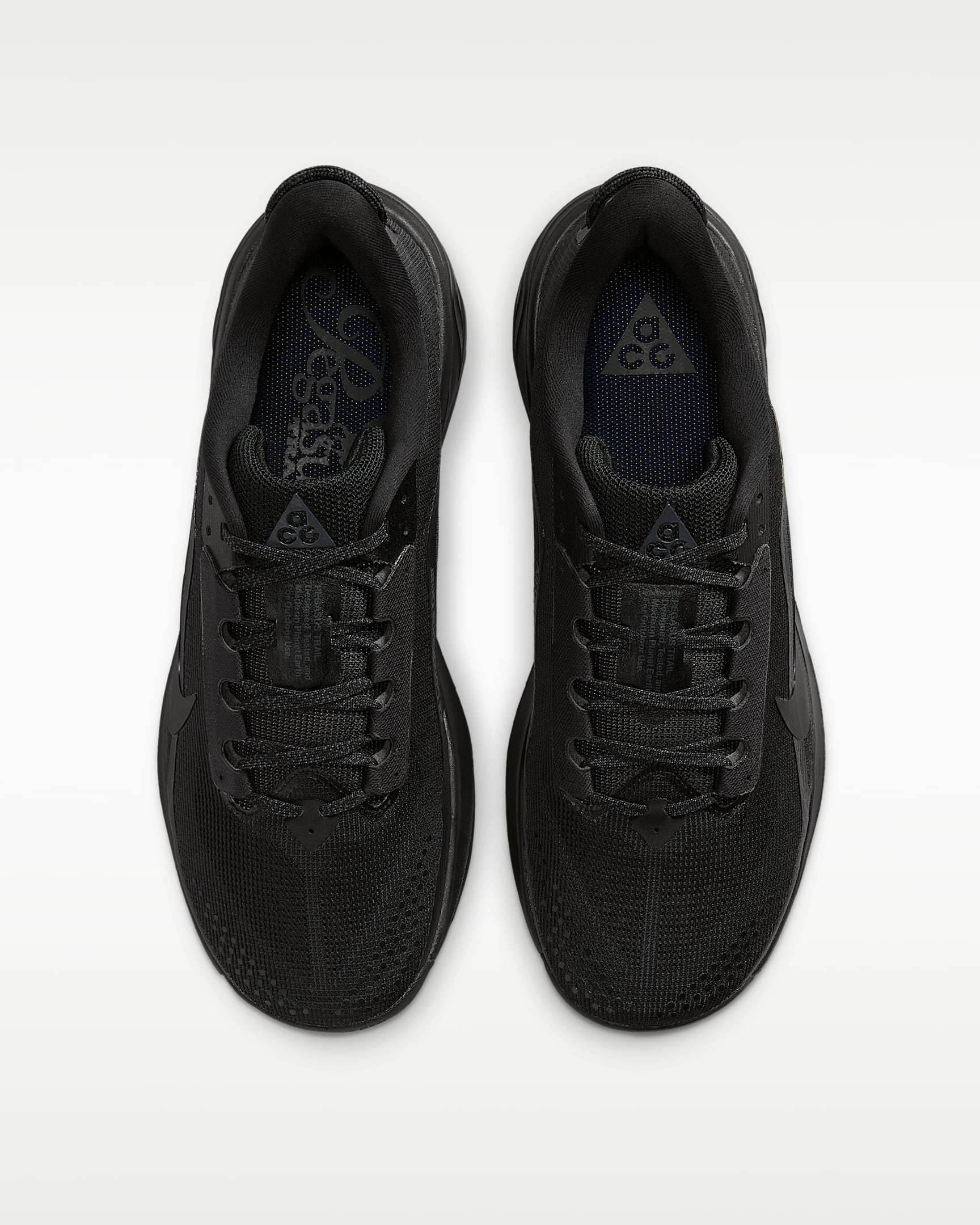 Nike Laufschuh »Pegasus Trail«
