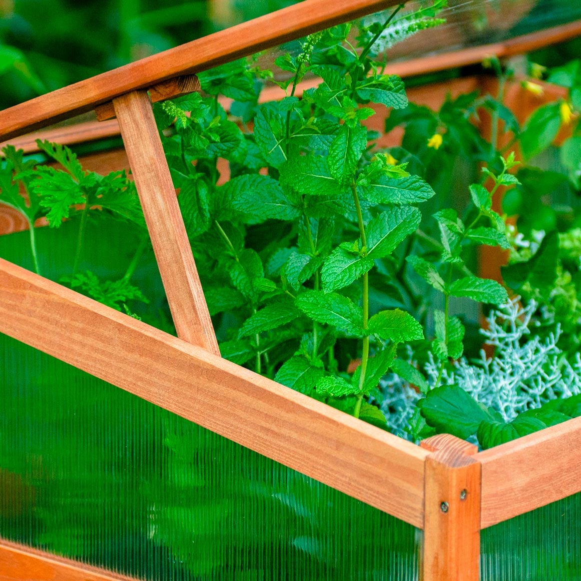 dobar Frühbeetaufsatz »Kubus 2.0, hellbraun« aus FSC®-zertifiziertem Kiefernholz und bruchfestem Polycarbonat