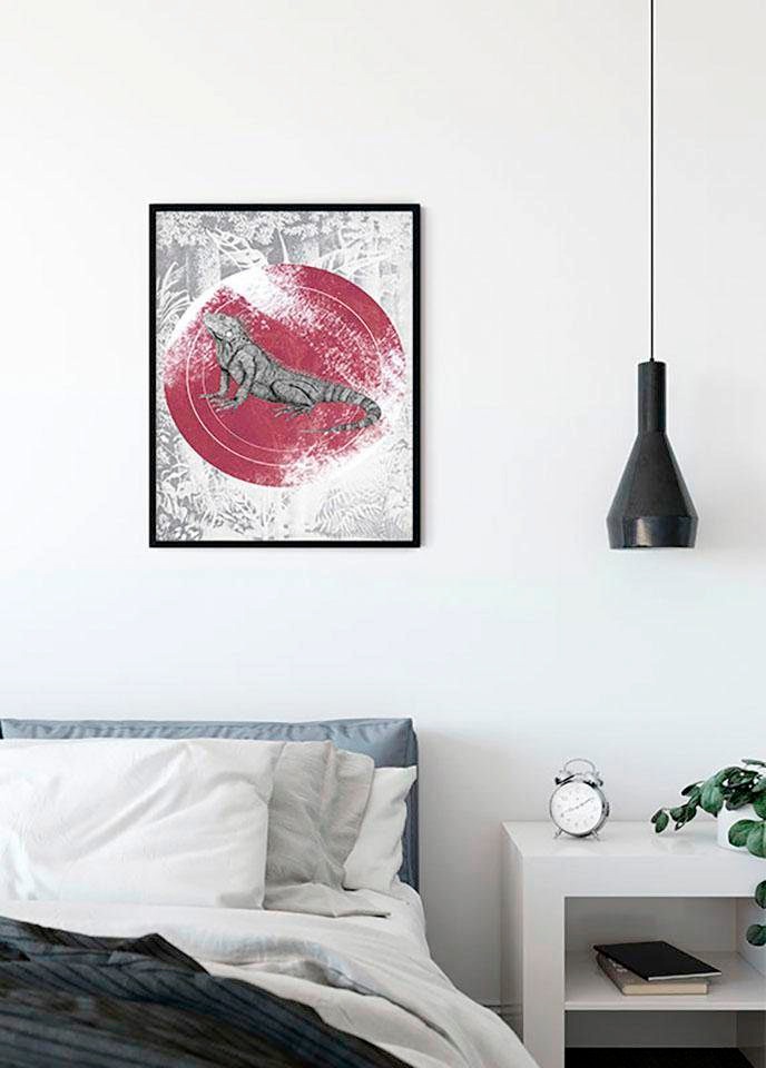 Komar Bild »Iguana Circle«, Tiere, (1 St.), Wandbild zur Dekoration - ohne Rahmen
