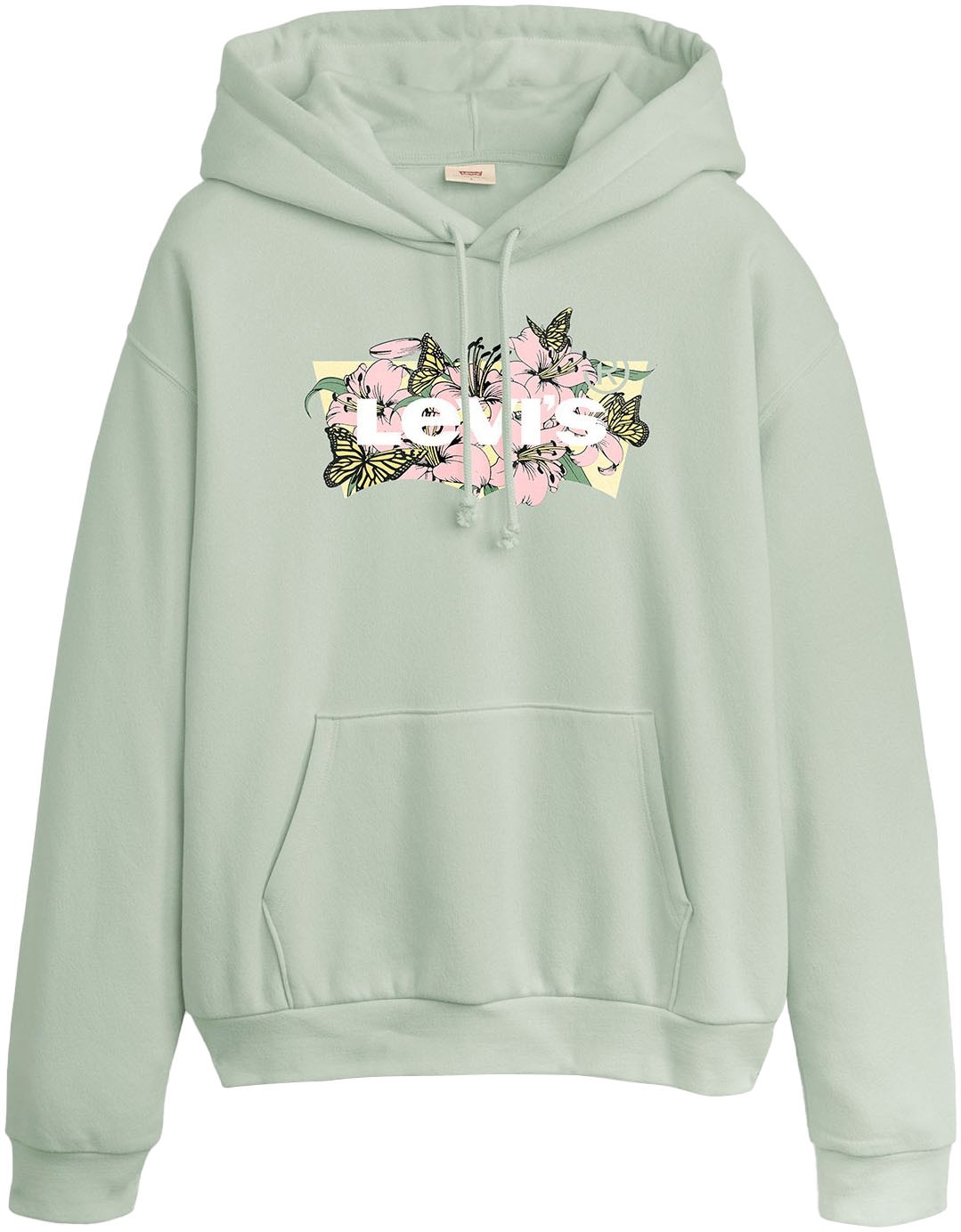 Levi's® Hoodie »GRAPHIC EVERYDAY HOODIE«