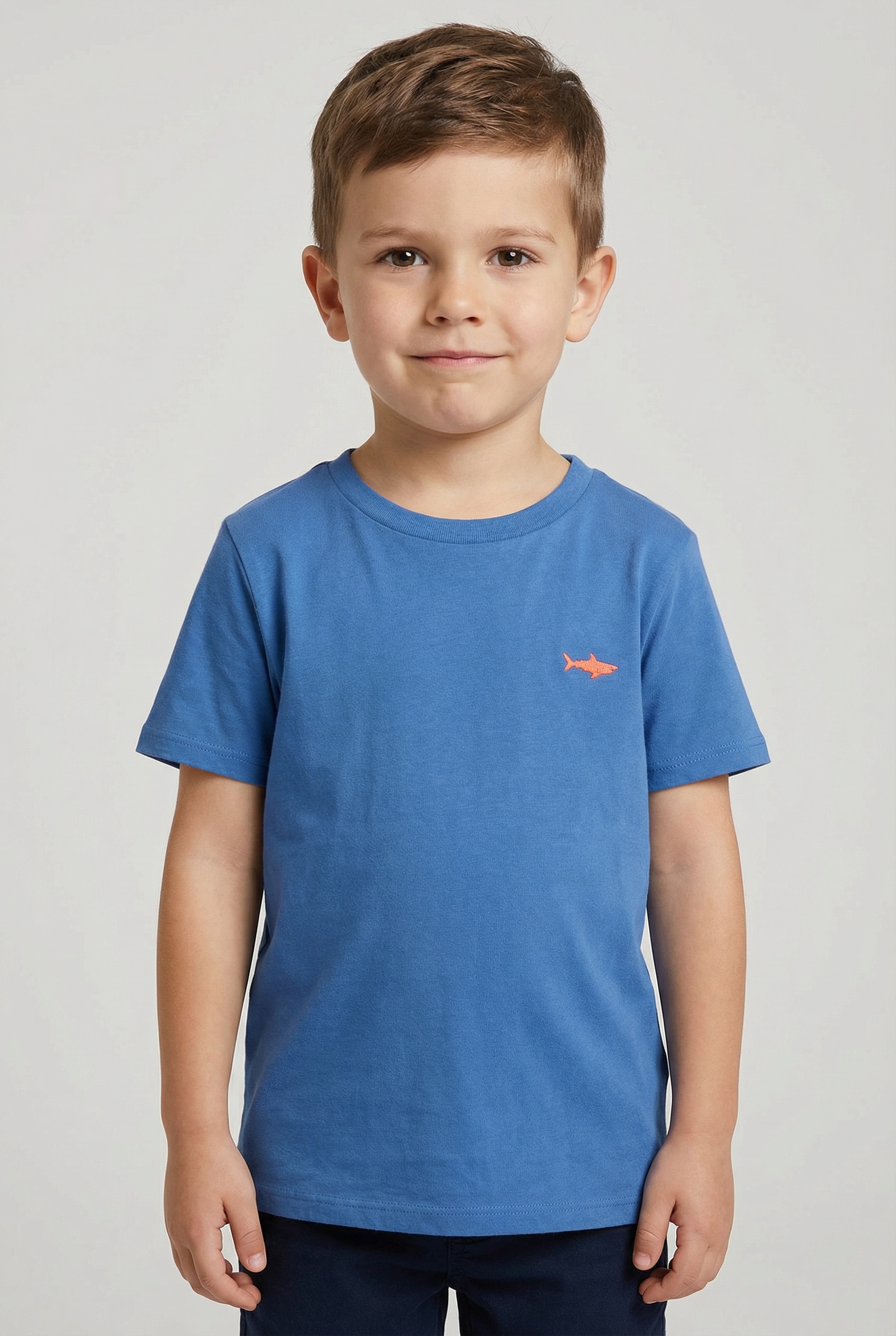 TOM TAILOR T-Shirt mit Dino-Stickerei