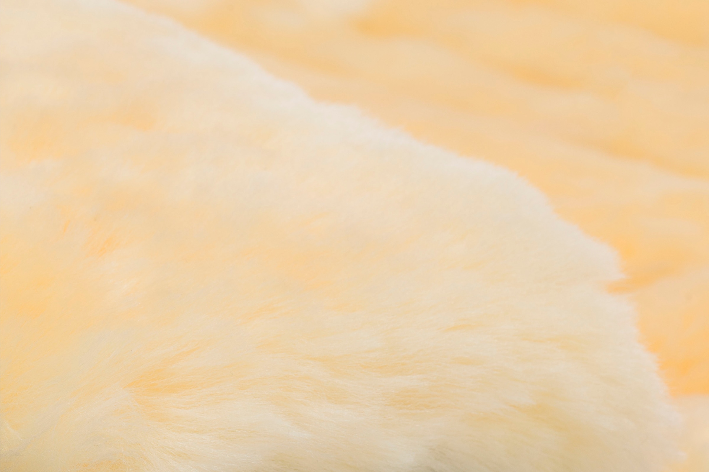 Fillikid Fußsack »Bernina Wool, Winterfußsack«