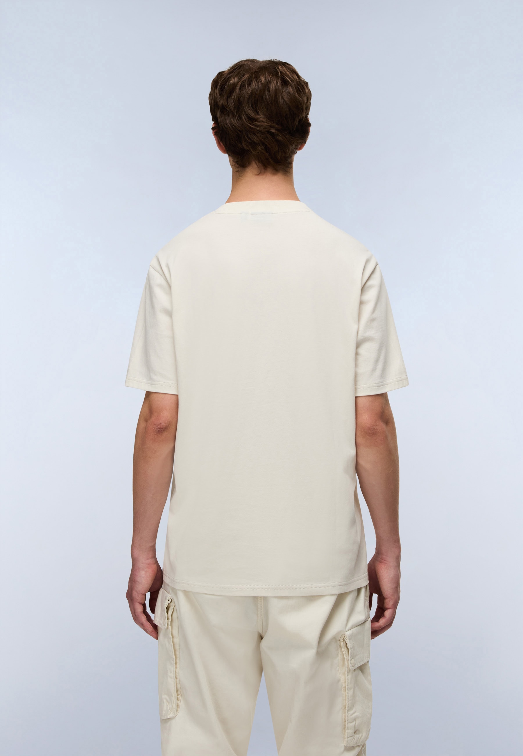 Napapijri T-Shirt »S-SMALL BOX« mit Markenlabel, aus Baumwolle