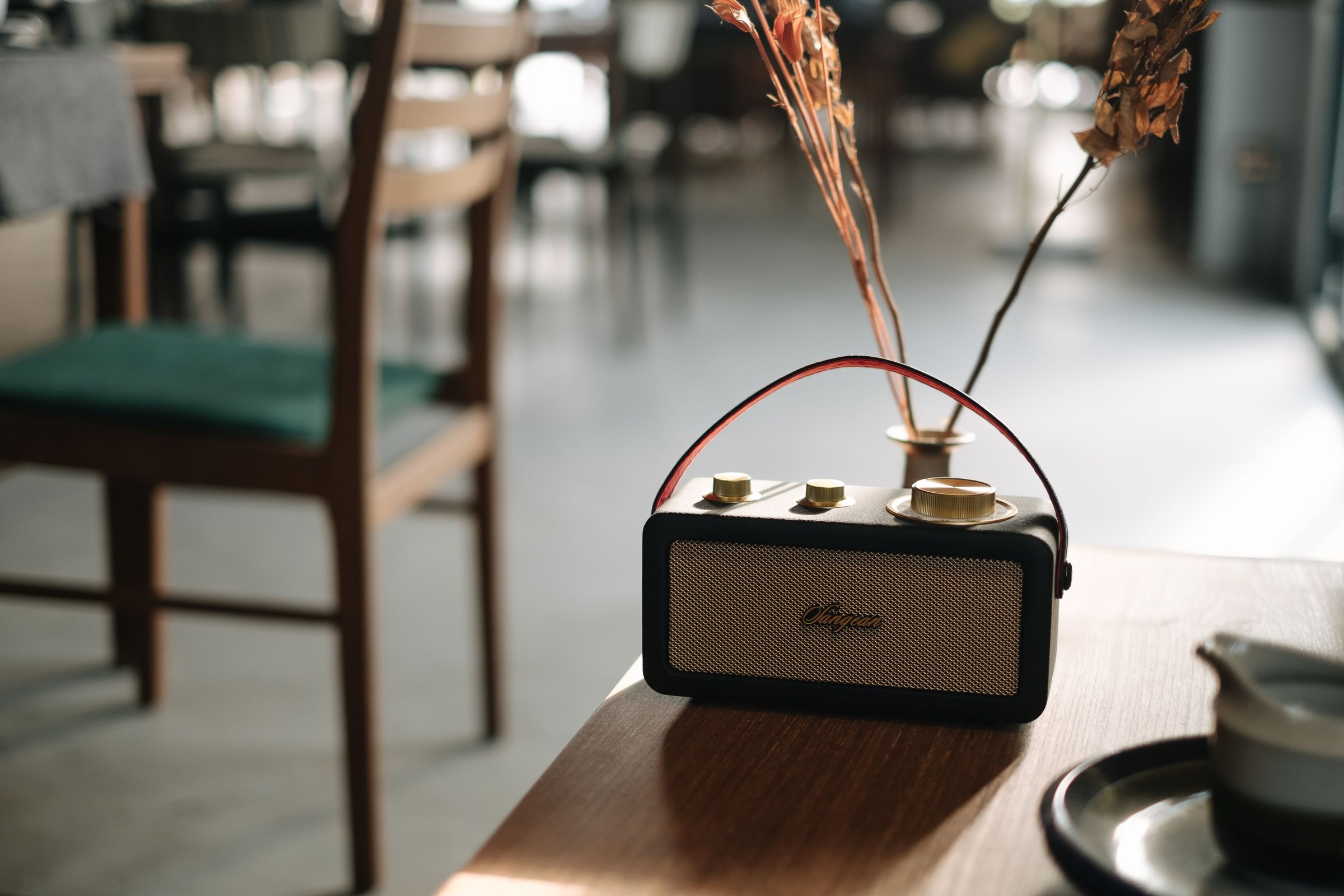 Sangean Radio »RA-101« (Bluetooth FM-Tuner )