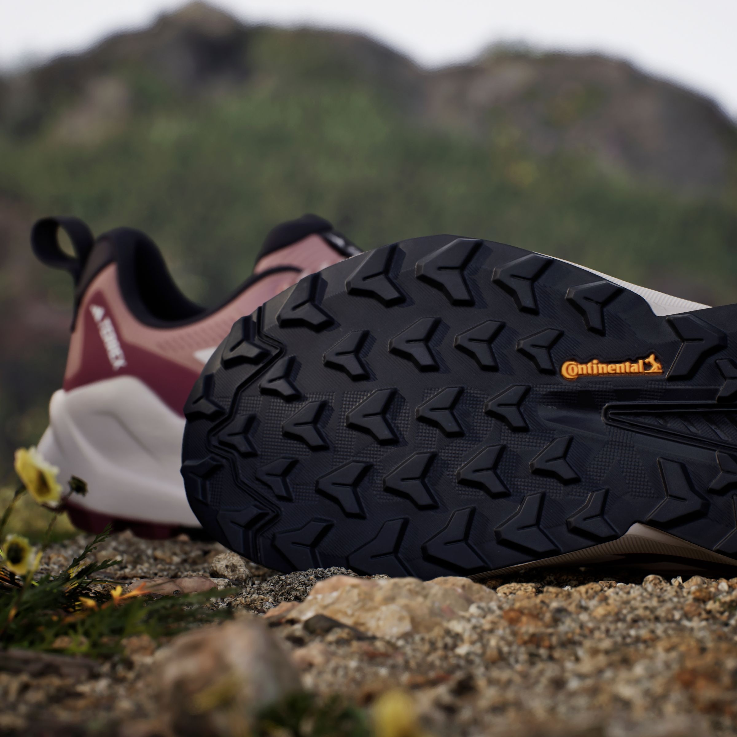 adidas TERREX Wanderschuh, wasserdicht