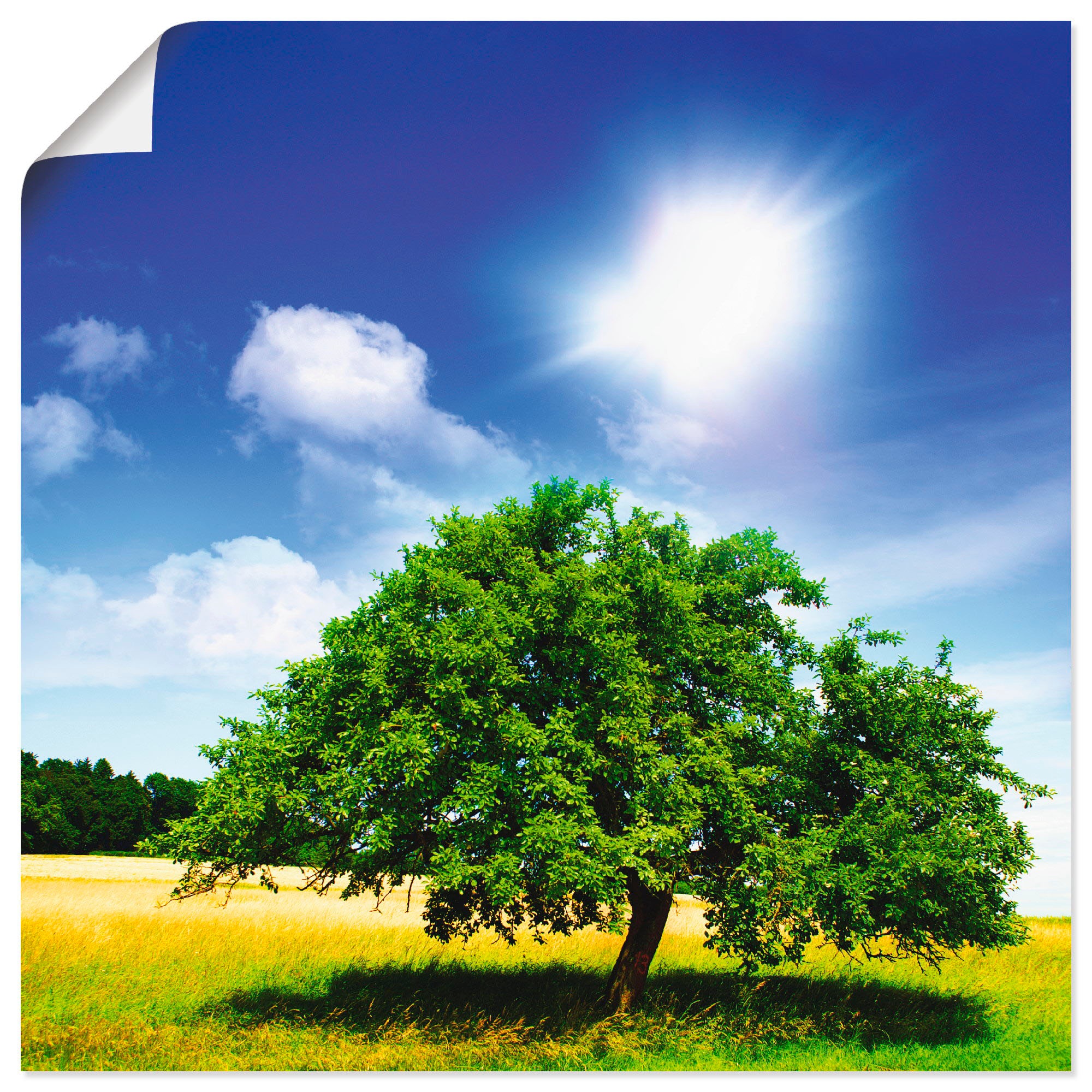 Artland Wandbild »Baum des Lebens«, Bäume, (1 St.), in vielen Größen & Produktarten - Alubild / Outdoorbild für den Außenbereich, Leinwandbild, Poster, Wandaufkleber / Wandtattoo auch für Badezimmer geeignet