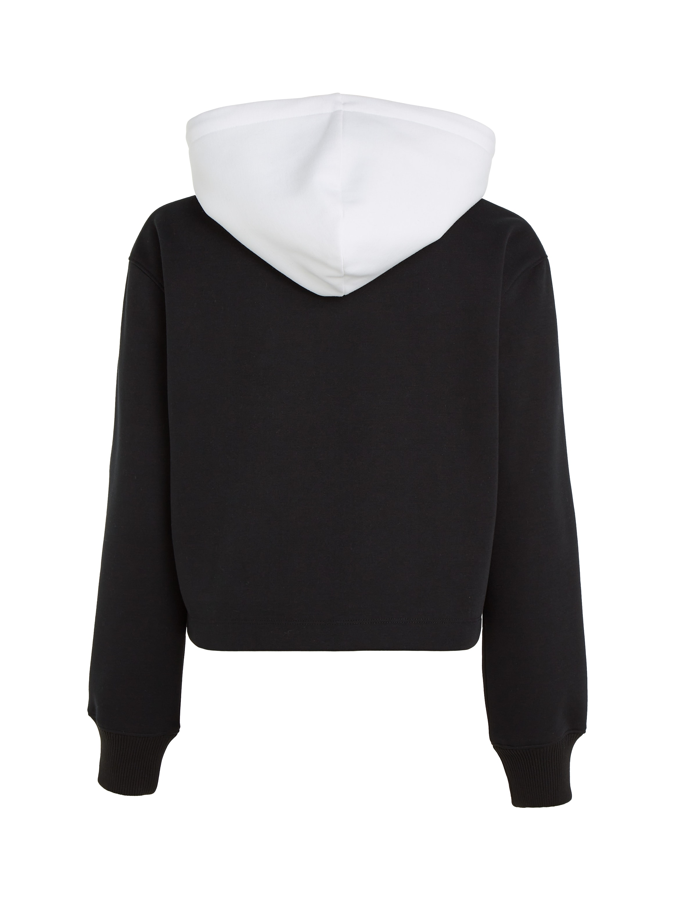 Calvin Klein Jeans Kapuzensweatshirt »COLOR BLOCK HOODIE«