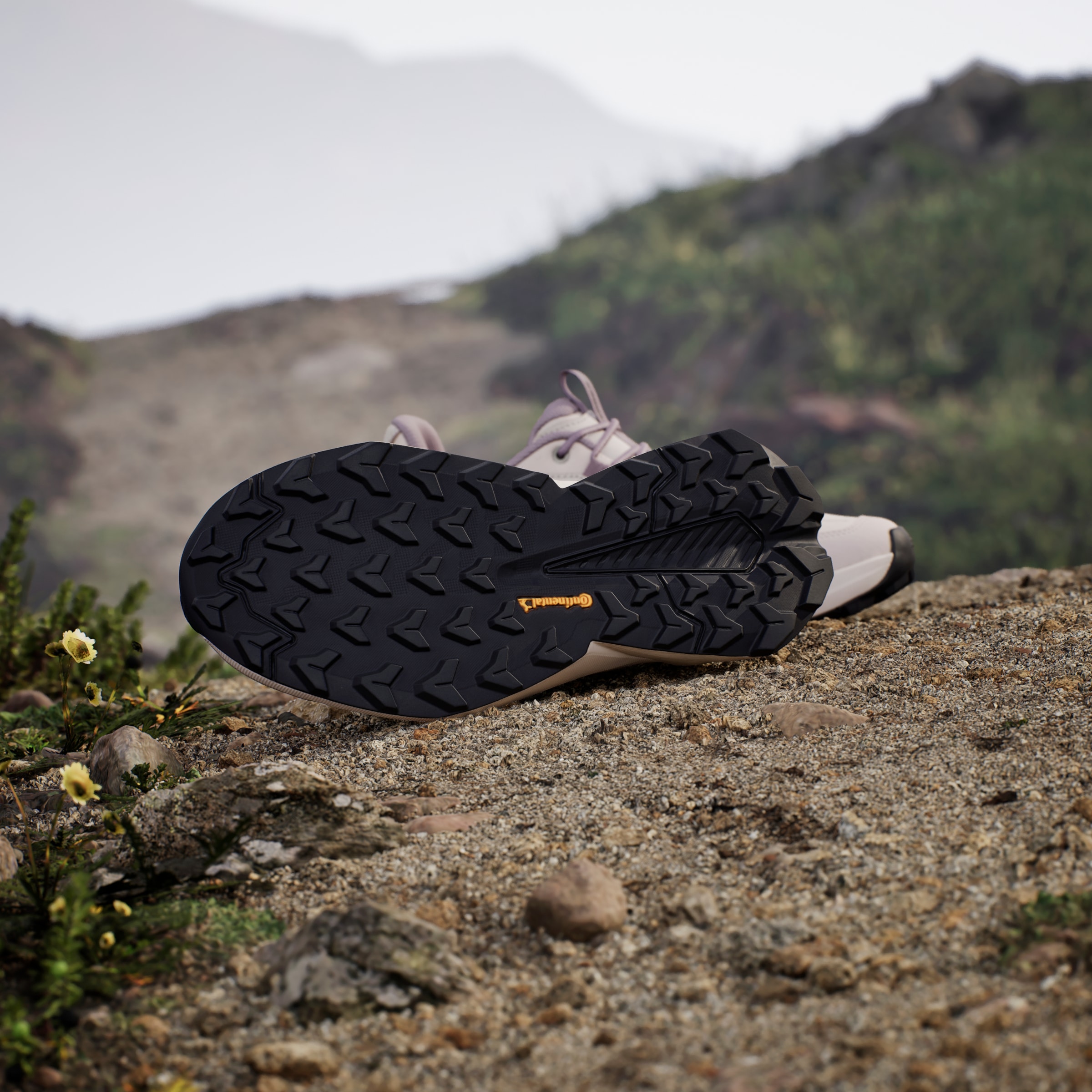 adidas TERREX Wanderschuh »TERREX TRAILMAKER 2.0 LEATHER«