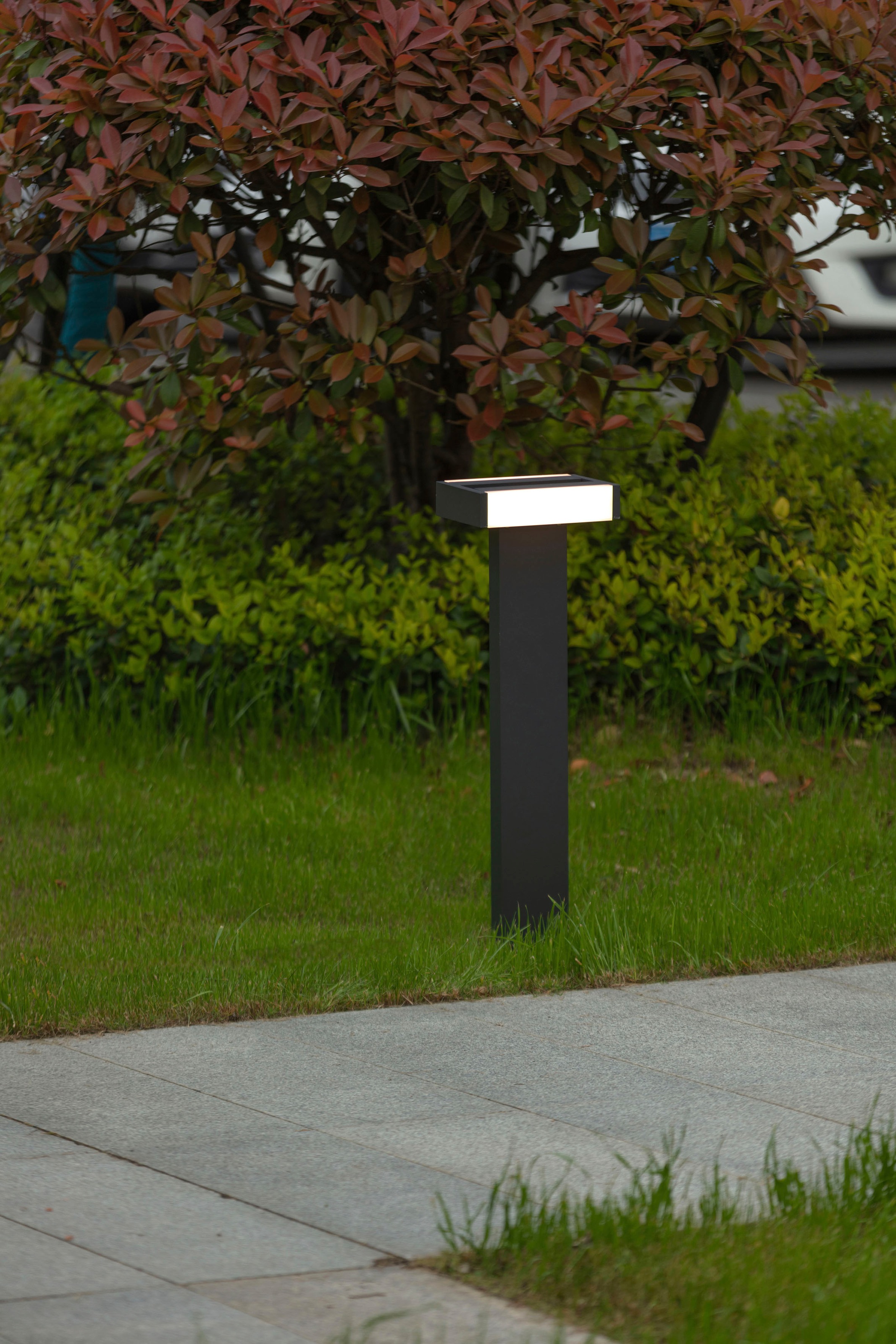 LUTEC LED Außen-Wandleuchte »CONROY«, Leuchtmittel LED-Modul | LED fest integriert, verstellbar