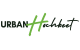 Urban Hochbeet
